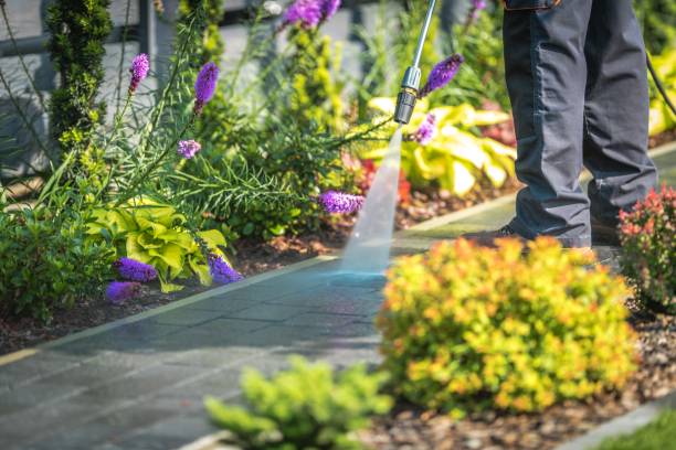 Reliable Ontario, CA Pressure Washing Services Solutions