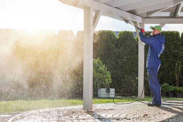 Animal Enclosure Cleaning in Ontario, CA